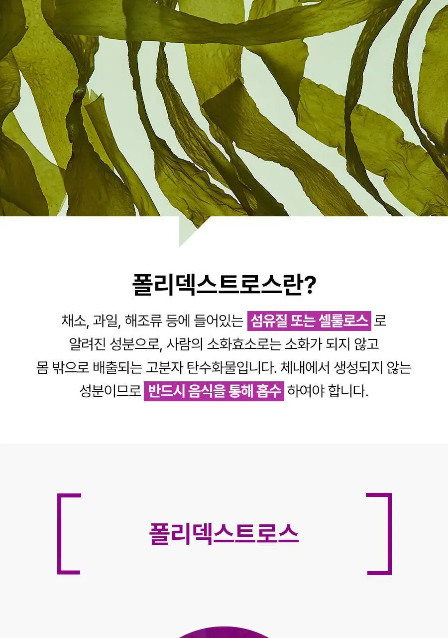 [서현PICK/NEW]콜레올로지 쾌변 젤리 10포 (+2포 증정) (12일분) 상세페이지 24
